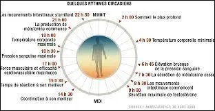 Le rythme circadien se définit comme :