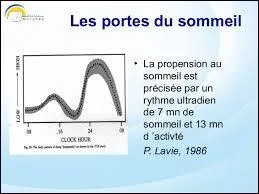 Le rythme ultradien se définit comme :