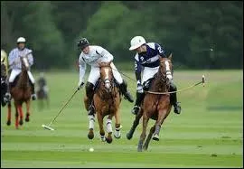 Ce sport est l'homonyme d'une voiture allemande. A noter que le nom de ce sport peut être complétez du mot "water". C'est un modèle de la marque ...