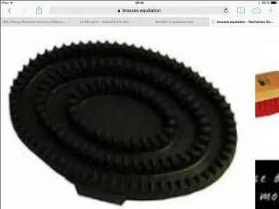 Comment s'appelle cette brosse ?