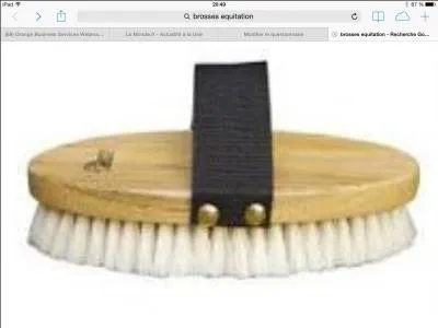 Comment s'appelle cette brosse ?