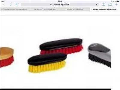 Comment s'appellent ces brosses ?