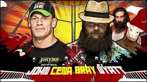 Bray Wyatt a causé deux défaites à John Cena. Cena voulant se venger, gagna son match à Wrestlemania 30, mais Bray n'accepte pas cette défaite et veut un match. Qui réussi à sortir de cette Cage ?