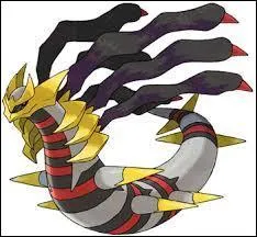 Quel est ce Pokémon ?