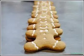 De quelle matière sont faits les biscuits Manala ?