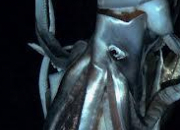 Quiz Le calamar gant