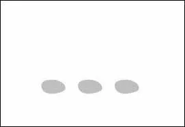 Mais il se nourrit aussi de...