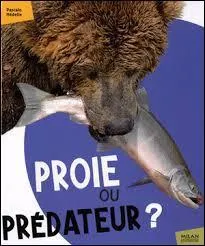 Qui est son seul prédateur ?