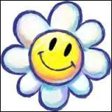 Combien y a-t-il de fleurs à chaque niveau ?