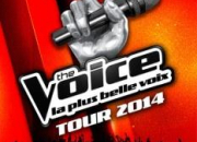Quiz The Voice la finale 2014