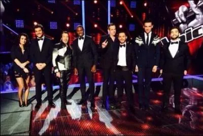 Qui a gagné The Voice 2014 ?