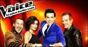 Donc quel coach a gagné The Voice 2014 ?