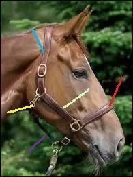 Comment s'appelle la partie avec un trait jaune?