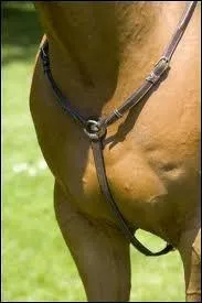 Comment s'appellent les deux boules du cheval?