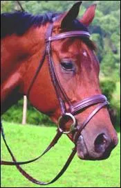 Quelles sont les manœuvres à effectuer pour enlever le filet?