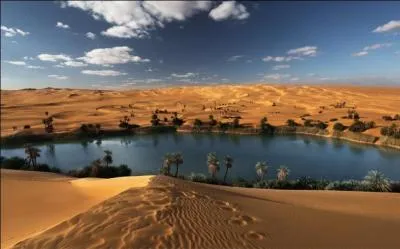 Un ou une oasis ?