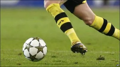 Qui a gagné la Ligue des champions 2013 ?