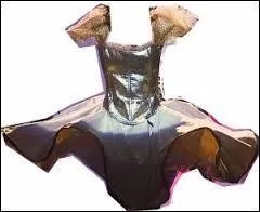 De quel clip est issue cette robe ?