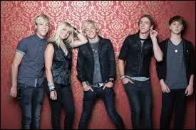 Quels sont les noms de leurs 2 tourn&eacute;es en 2013 ?