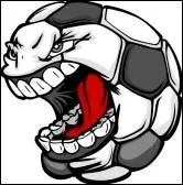 Quel pays a remporté la Coupe du monde en 2010 ?