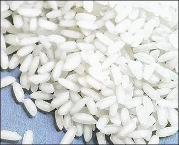 Quel est cet aliment ?