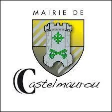 Castelmaurou est une commune midi-pyrénéenne située dans le département ...