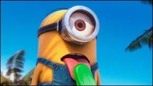 Après ce passage, que fait-il ?