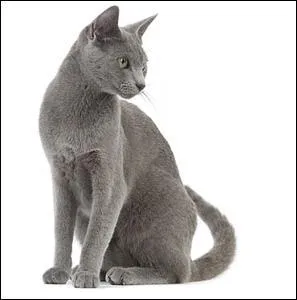 On change complètement de style pour laisser place à un très attachant :