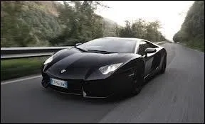 Et pour finir, quel est le nom de cette Lamborghini ?