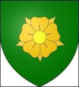 À quelle famille correspond ce blason ?