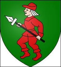 À quelle famille correspond ce blason ?