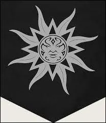 À quelle famille correspond ce blason ?