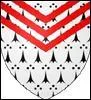 À quelle famille correspond ce blason ?