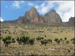 C'est le sommet le plus élevé du massif du Mont Kenya mais aussi le deuxième plus haut sommet d'Afrique (5 199 m)