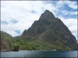 On les appelle comme ça car ils ressemble à 2 grosses canines.