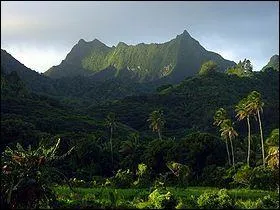 Cette montagne est le point culminant de l'île la plus connue et la plus grande des îles Cook (653 m)