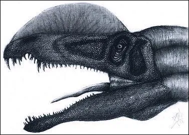 En quelle année fut découvert le premier Dilophosaurus ?