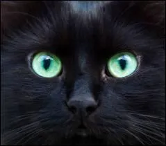 A qui sont ces yeux ?