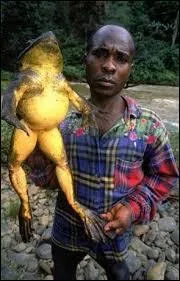 Quelle est sa longueur ?