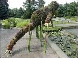 Son saut peut dépasser combien de mètres ?