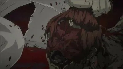 De quel anime est tirée cette image ?