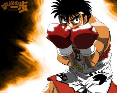 A la fin de la 1re saison d'Hajime no Ippo, quel est le palmarès d'Ippo ?