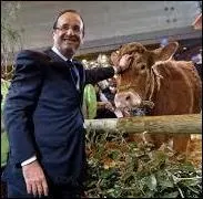 Il devrait se contenter de faire de la politique, car, comme le dit un célèbre dicton : "Chacun son métier et ... "