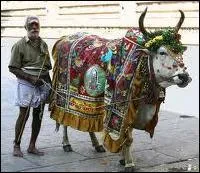 Une personne intouchable qui bénéficie d'énormes privilèges, est qualifiée familièrement de ...