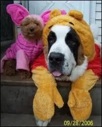 Quel déguisement a choisi le chien au premier plan ?  