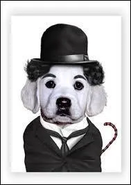 Quel déguisement a choisi ce chien ?