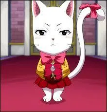 Qui est ce personnage de Fairy Tail ?