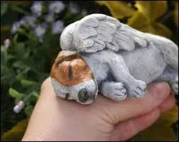 Ho, le petit ange ! Dommage que la photo soit truquée ! Mais vous devez sûrement reconnaître la race, alors quelle est-elle ?