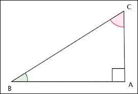 Si un triangle est rectangle, quelle est la particularité de ses deux angles aigus ?