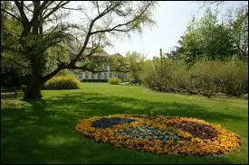 Quel nom porte cette jolie plantation fleurie de forme ronde ?